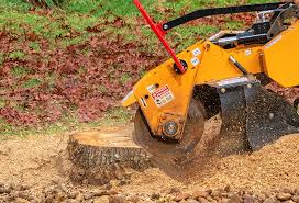 Trusted Great Falls Crossing, VA Tree Services Experts