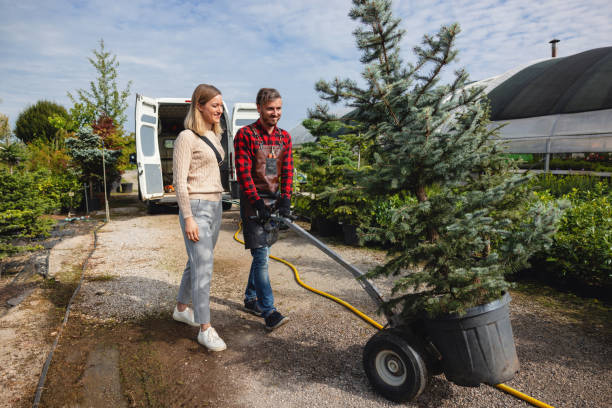 Best Lawn Renovation and Restoration  in Great Falls Crossing, VA